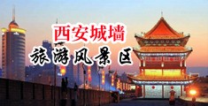 肏比网中国陕西-西安城墙旅游风景区